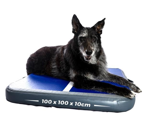 Air Station, 100 x 100 x10cm, Blau